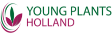 Young Plants Holland